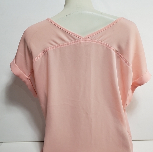 Pink Rose Sheer Short Sleeve Blouse - Picture 3 of 4
